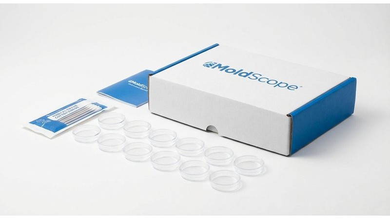 MoldScope Testing Kit - Complete 10-Pack